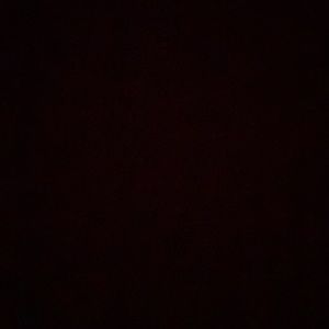 Meet your Posher, Addie